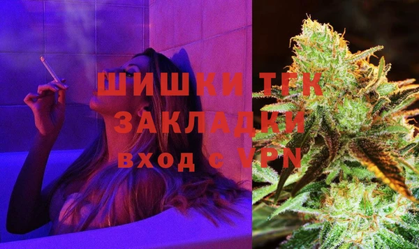 гидра Краснослободск