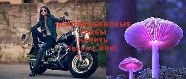 гидра Краснослободск